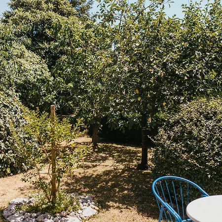 Urban Nest * يوبوسكي